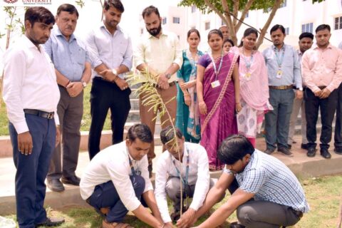 Plantation drive in the university on the occasion of World Environment Day